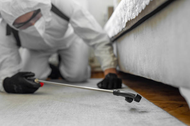 Professional Termite Control technician working in Beaver Dam, WI